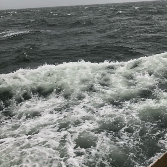 Meet your Posher, Crysta - Picture 1 of 1